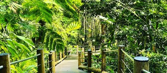 Quiet Hilo Beach Cottage, Prime Location for Beaches, Snorkeling, and Surfing