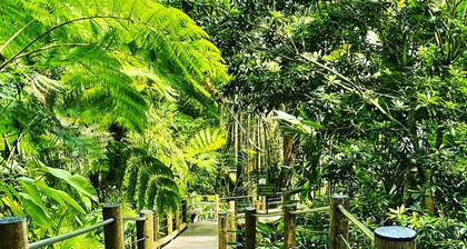 Quiet Hilo Beach Cottage, Prime Location for Beaches, Snorkeling, and Surfing