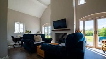 Télévision, cheminée, chaßne hi-fi