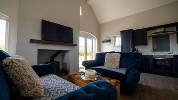 Télévision, cheminée, chaßne hi-fi