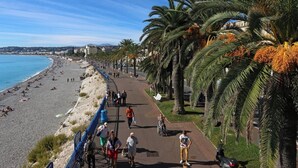 Eine Uferpromenade mit Palmen, einem Strand und blauem Himmel.