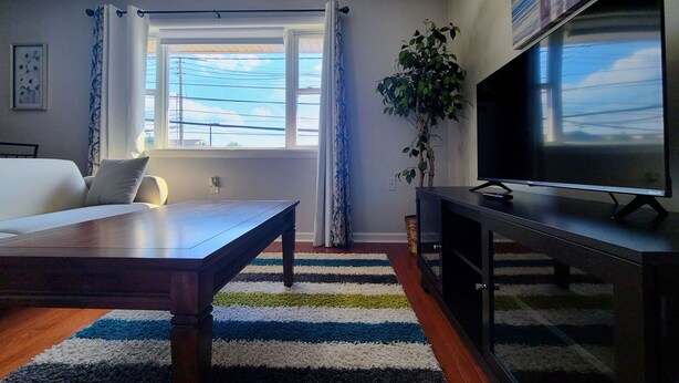 A living room with a sofa, a wooden coffee table, a TV on a stand, a striped rug, a potted plant, and a window with curtains.