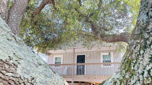 A treehouse with a wooden deck and a balcony, surrounded by trees. - Charming Bungalow close to the beach and bay.  (Kill Devil Hills)