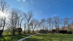 Eine Rasenfläche mit einem Kiesweg, kahlbäumigen Bäumen und einer kleinen Struktur in der Ferne.