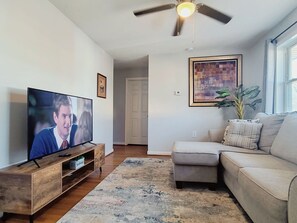 TV