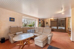 Télévision, cheminée, lecteur de DVD, table de tennis de table