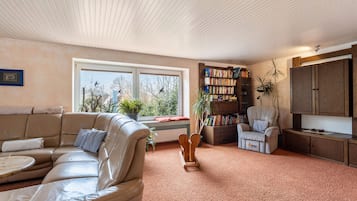 TV, fireplace, DVD player, table tennis