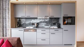 Kühlschrank, Mikrowelle, Herdplatte, Geschirrspüler