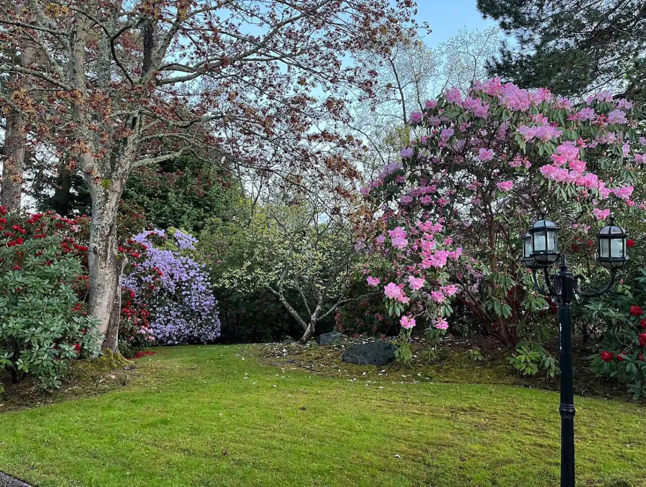 A garden with various flowering trees, a well-maintained lawn, and a traditional street lamp.