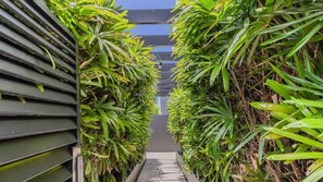 Un étroit sentier bordé de plantes verdoyantes et d’un mur de couleur sombre.