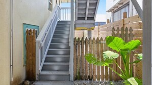 A narrow alleyway with a wooden fence, a staircase, and a large plant.