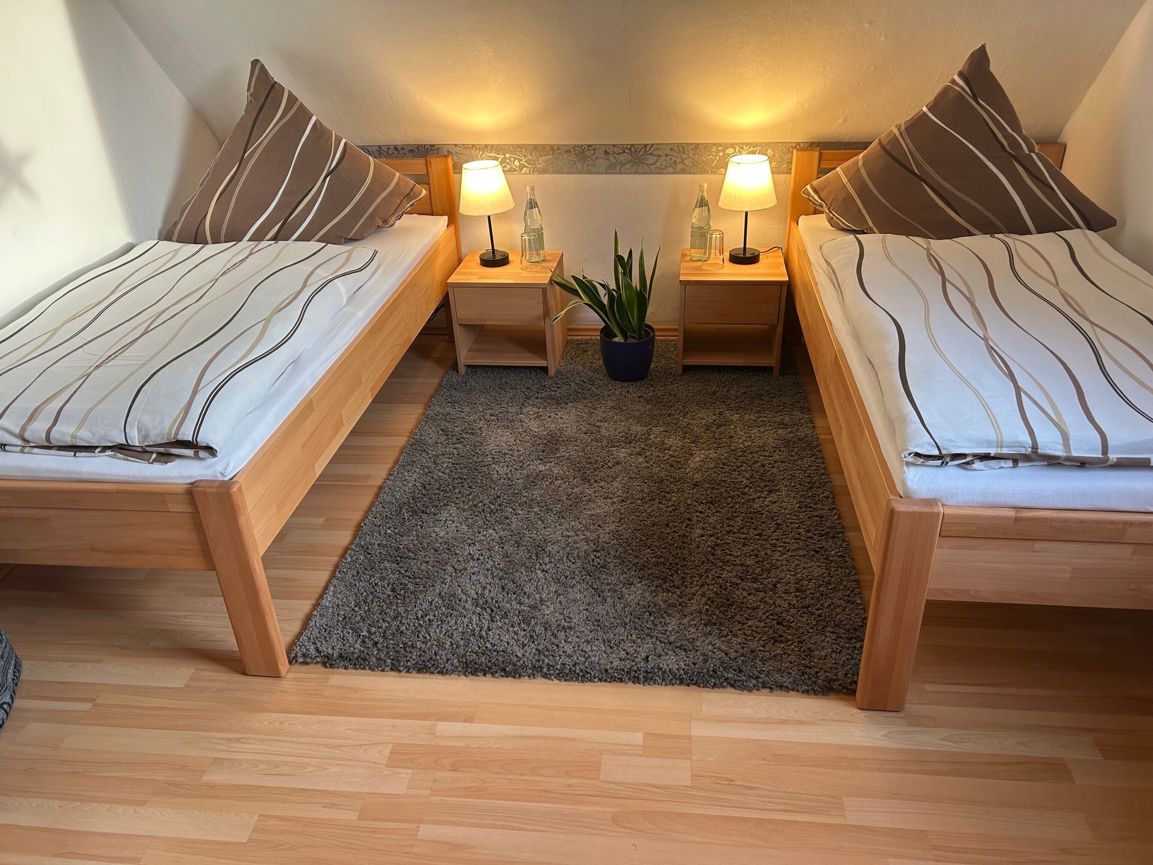 2 bedrooms, iron/ironing board, free WiFi, bed sheets