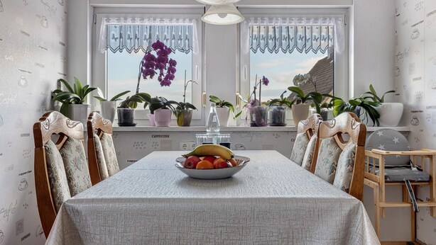 Comedor con mesa, sillas, frutero, plantas en macetas y ventana con cortinas.