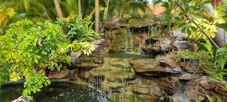 Jardín