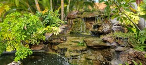 Une petite cascade dans un jardin luxuriant, parsemé de diverses plantes et de rochers.