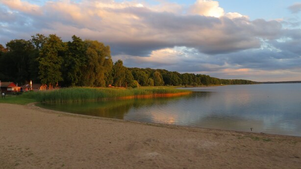A lakeside view with a sandy beach, dense trees, and a calm water body.