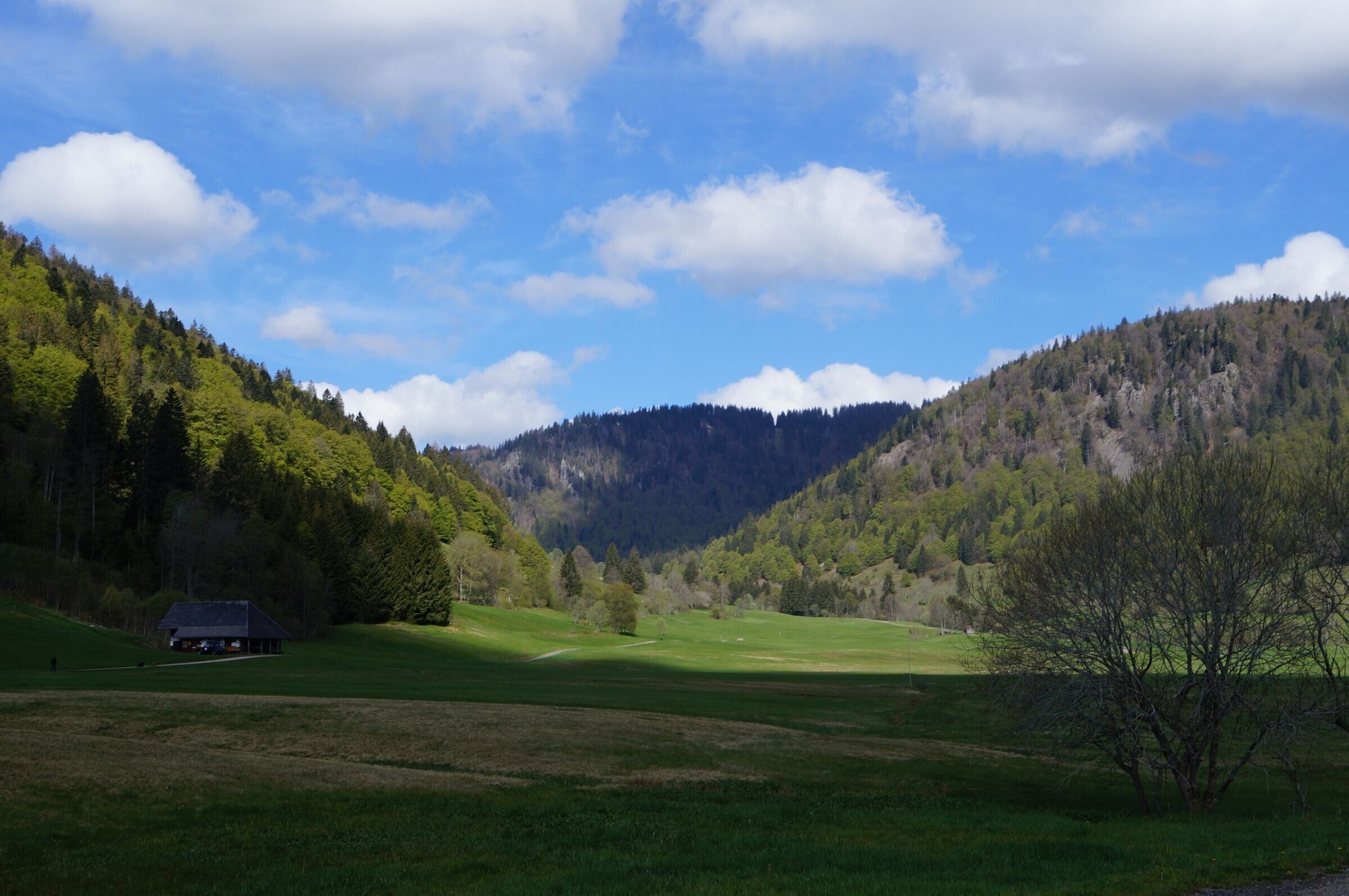 A rural landscape with a house on a hill, green fields, and a mountain in the background.