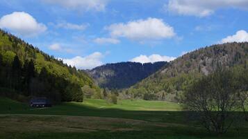 A rural landscape with a house on a hill, green fields, and a mountain in the background.