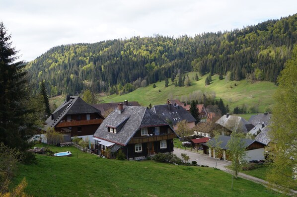 Exterior - Apartment 'Wohnung 2 - Familienappartement' with Balcony and Wi-Fi (St. Blasien)