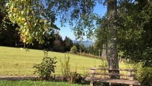A park with a wooden bench, grassy field, trees, and distant hills. - 2-room holiday apartment with sun terrace (Schönwald)
