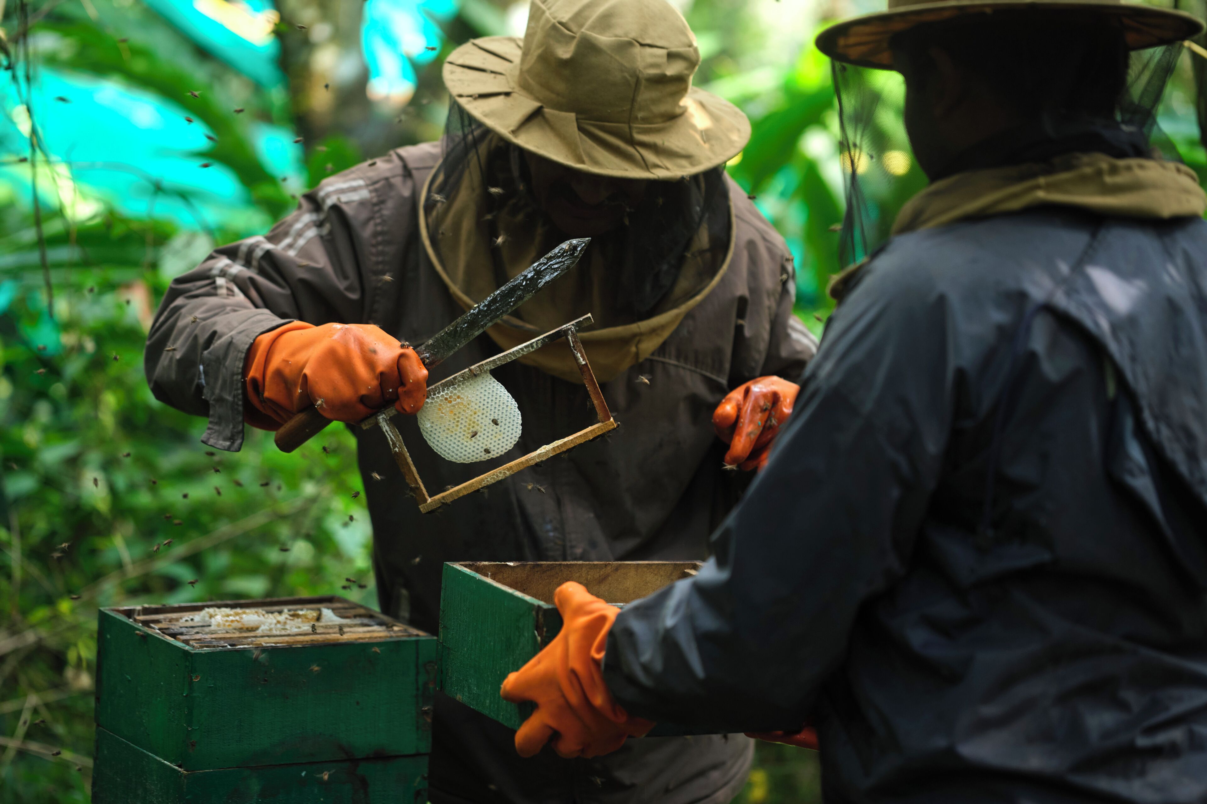 A person in protective gear handling a beehive.