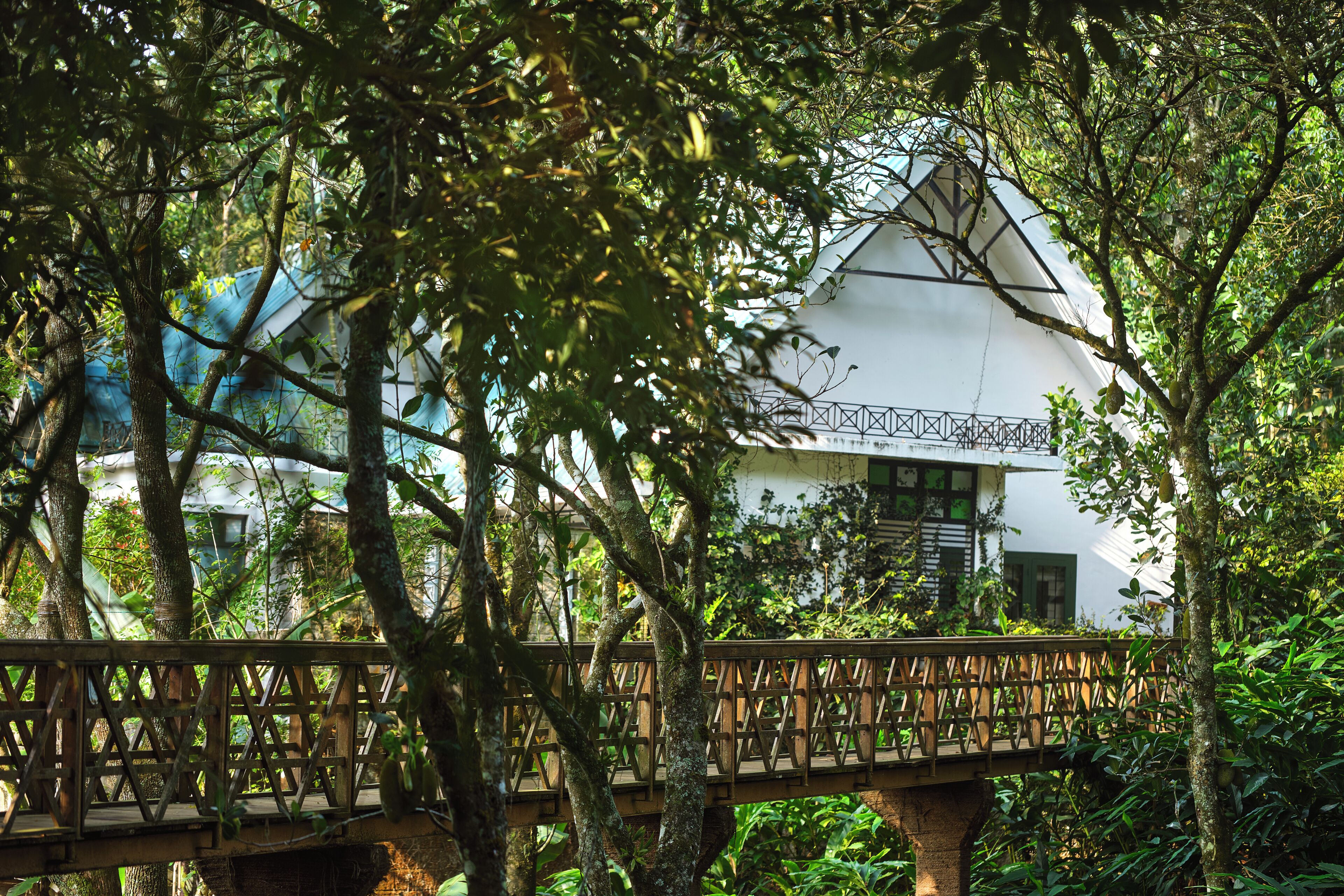 A wooden bridge in a lush, green environment with a white building in the background.