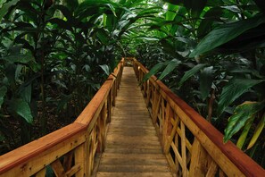 A wooden bridge with railings surrounded by dense green foliage. - Reen Resorts Aanavilasam Thekkady (Peermade)