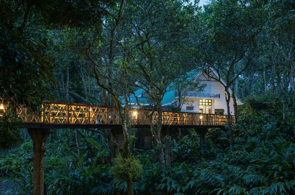 A treehouse with a wooden bridge, surrounded by dense foliage. - Reen Resorts Aanavilasam Thekkady (Peermade)