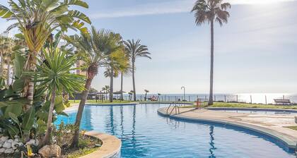 Mi Capricho Modern Sunshine