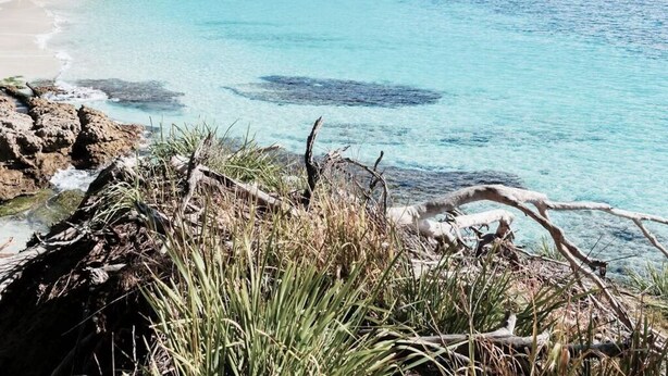 A coastal landscape with clear turquoise waters, a sandy beach, and dense greenery. - Driftwood Callala Plus+ - The Perfect Jervis Bay Retreat for up to 10 guests! 🐋 (Callala Bay)