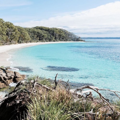 Driftwood Callala Plus+ - The Perfect Jervis Bay Retreat for up to 10 guests! 🐋
