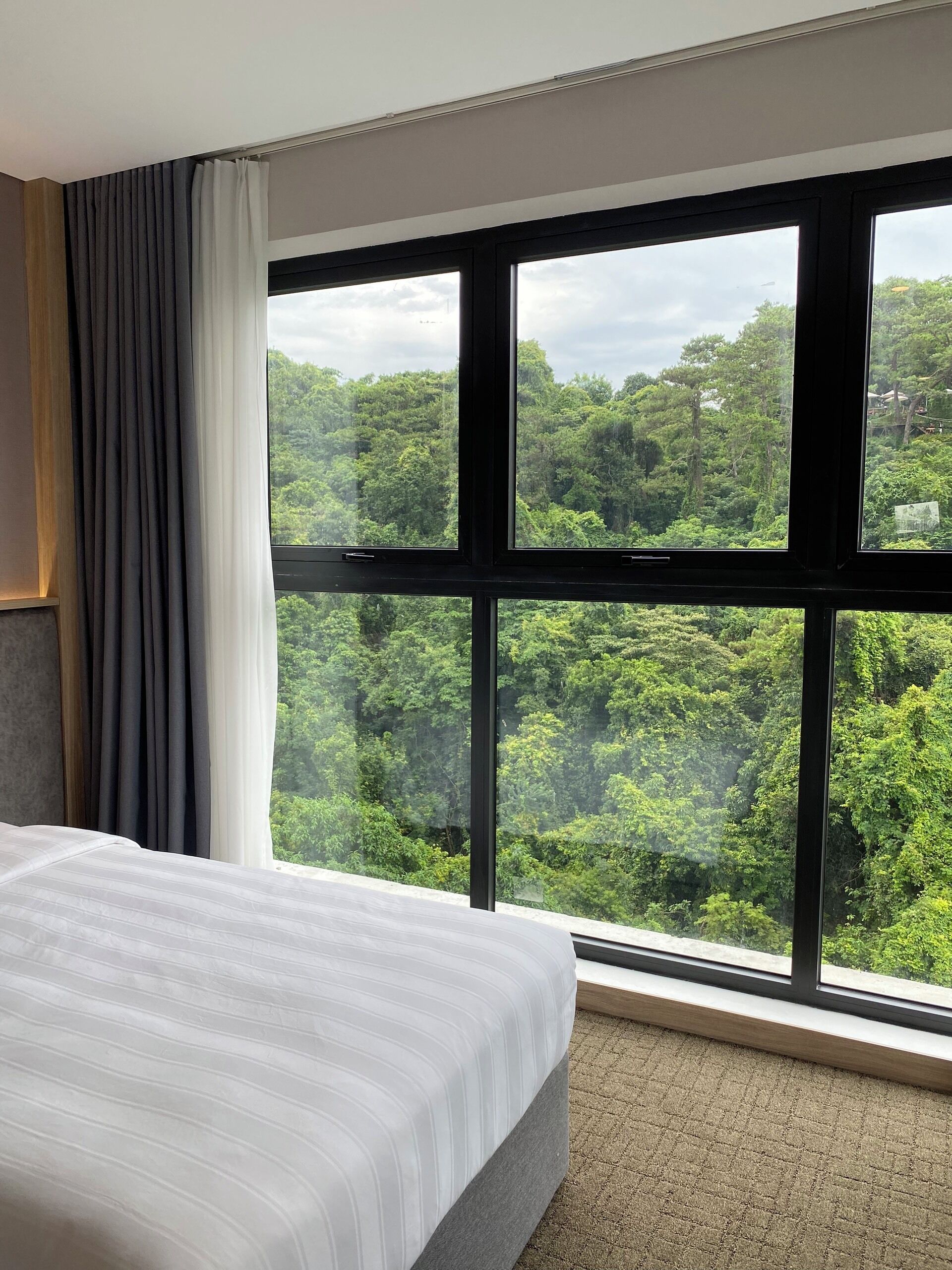 Habitación de hotel con un amplio ventanal que ofrece vistas a un paisaje boscoso.