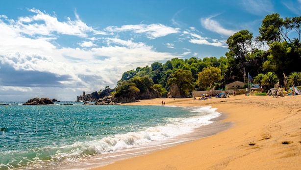 A beach with clear turquoise waters, a sandy shore, and a backdrop of dense green trees. - Hotel Boutique Can Colom (Lloret de Mar)