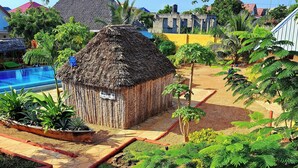 A thatched-roof hut surrounded by a garden with ferns and a stone pathway. - Mimi na wewe villa (Nungwi)