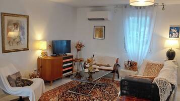 Televisie, een dvd-speler, boeken en een muziekbibliotheek