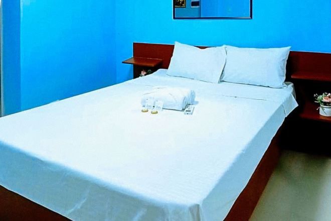 A hotel room with a bed, a nightstand, a small table with a plant, and a mirror on the wall.