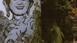 Una habitación con un gran mural en la pared, plantas en macetas y un ventilador de techo.
