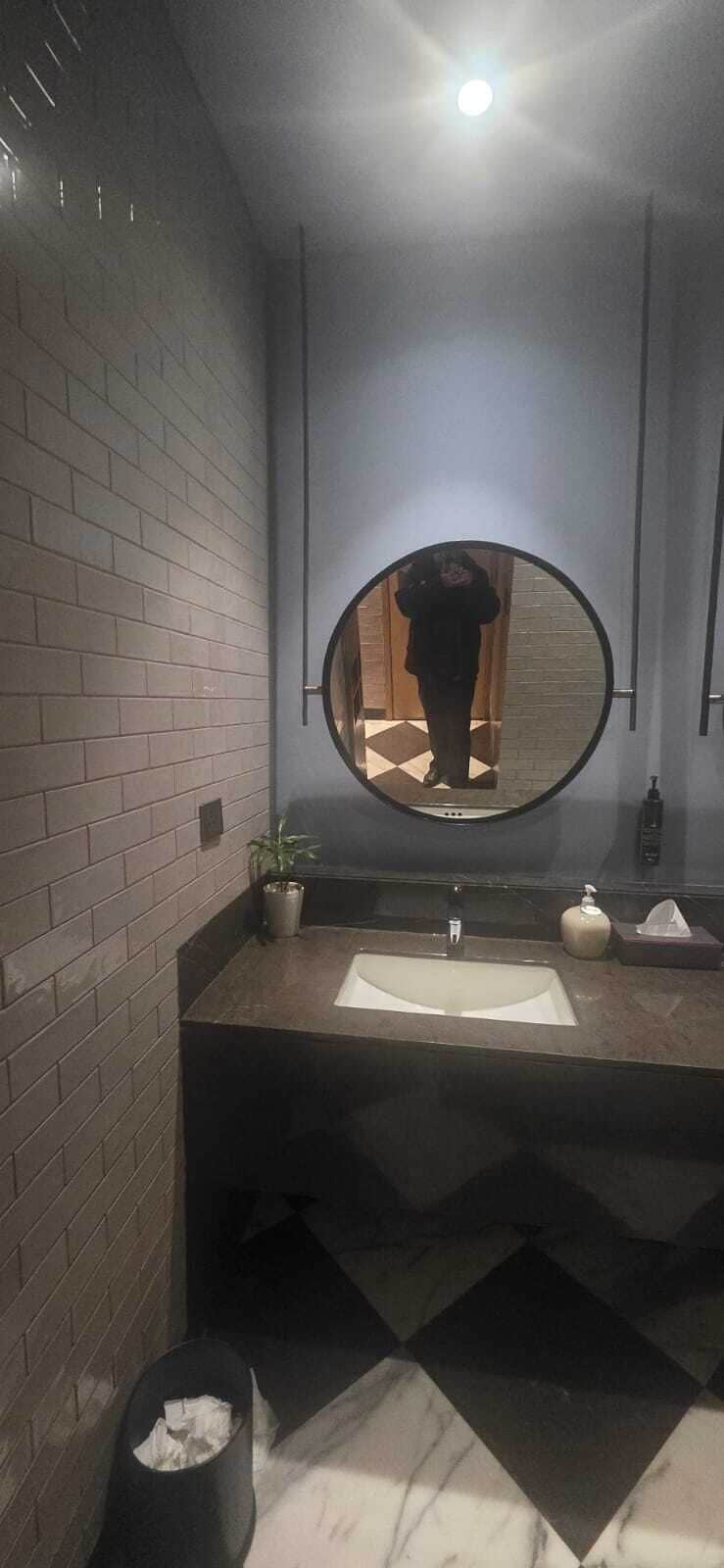 Une salle de bain avec un miroir, un lavabo et une plante en pot.