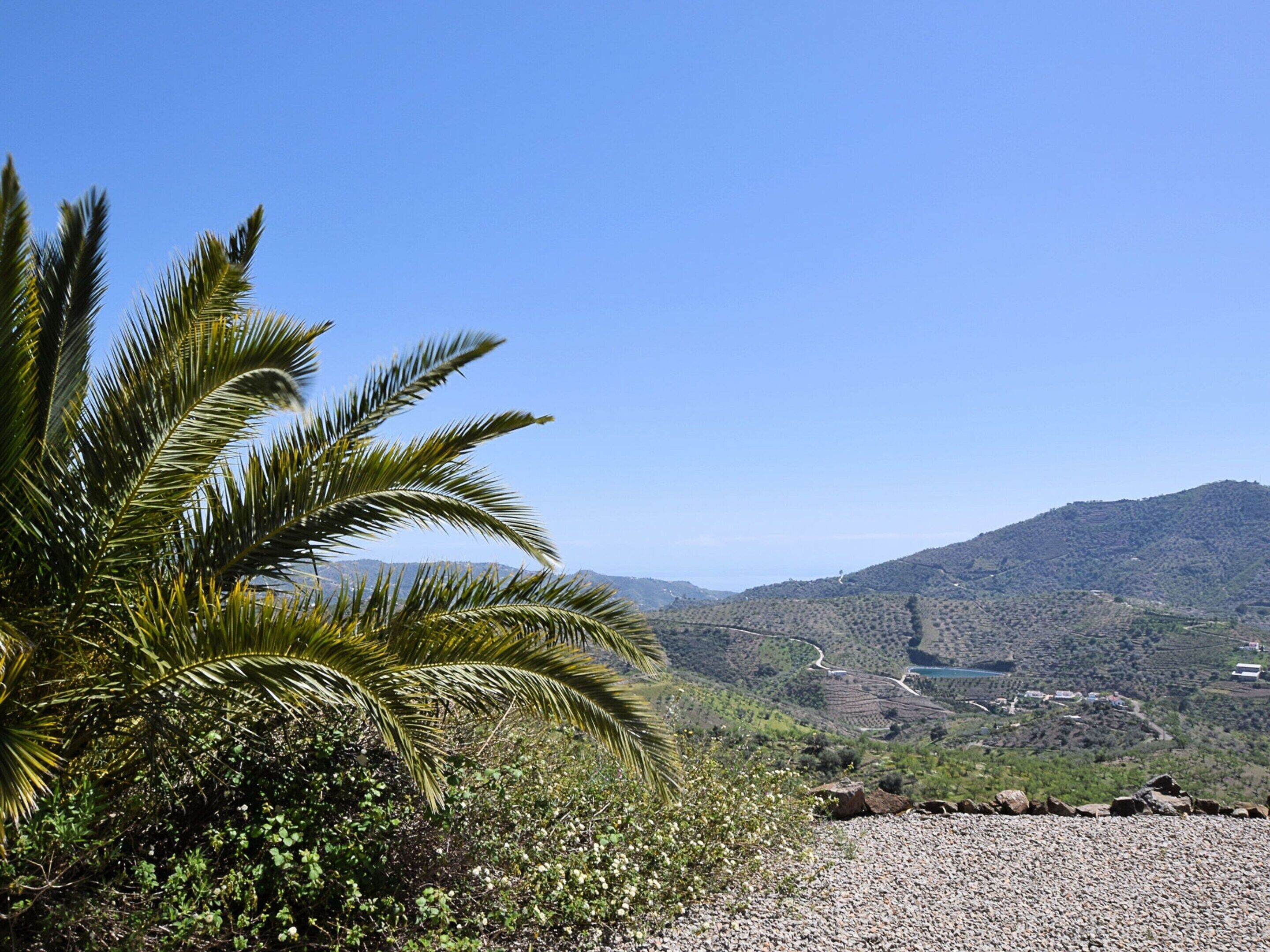 Vil·la | Vista des de l'allotjament