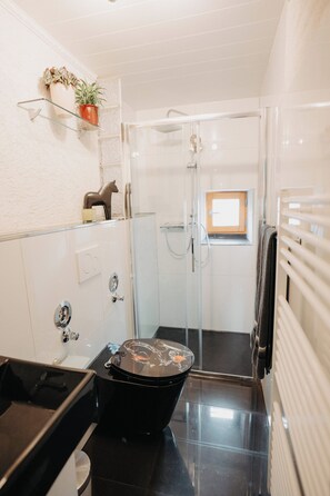 Ducha, secador de pelo, toallas, jabón