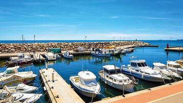 House | View from property