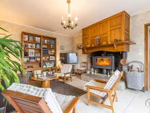 TV, fireplace, books
