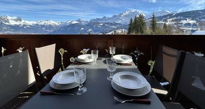 Appartement 3 Pièces + Mezzanine, 7 couchages, vue Mont-Blanc, Parking