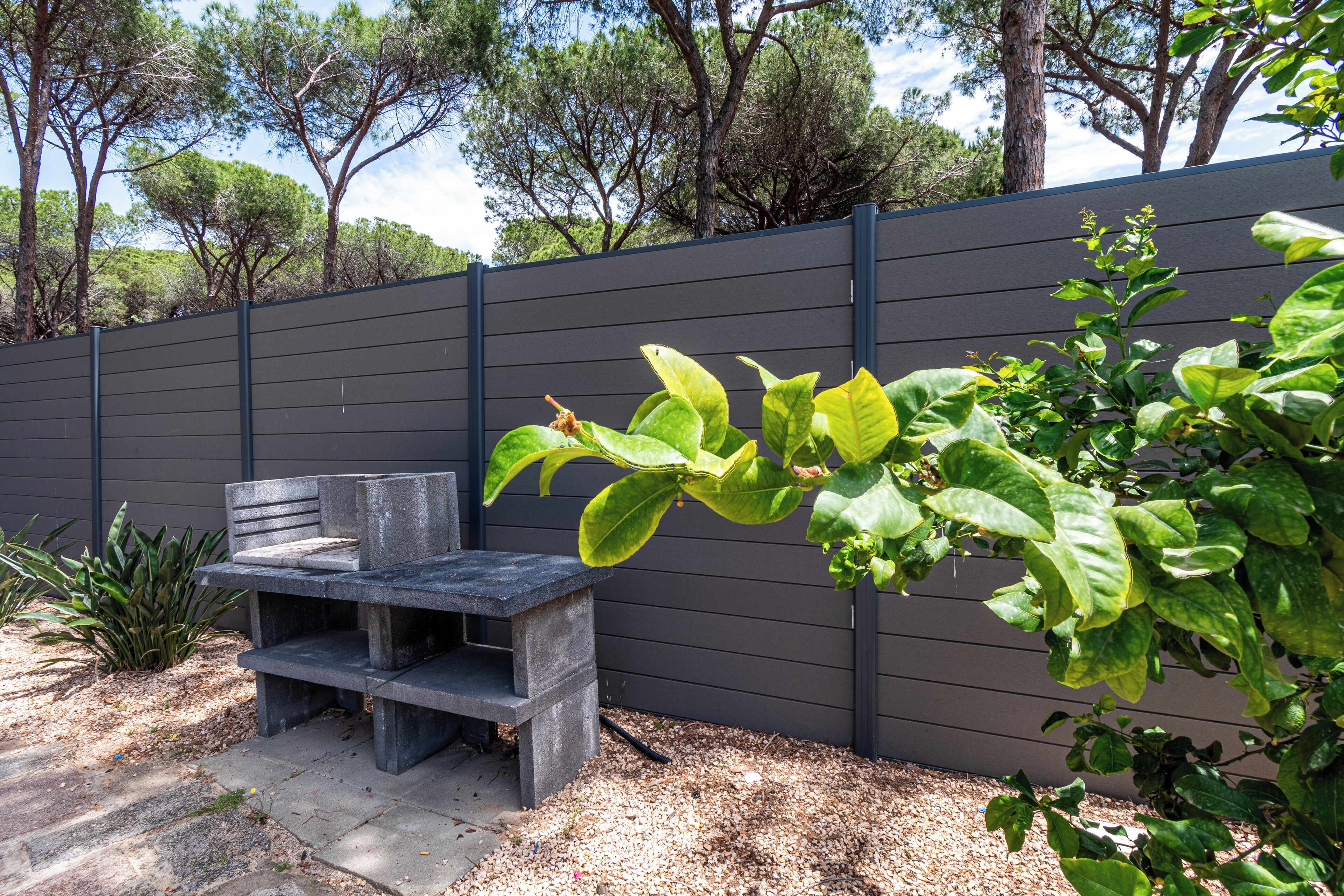 Um banco de concreto e um muro baixo em uma área de jardim.