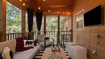 Smart TV, fireplace, books