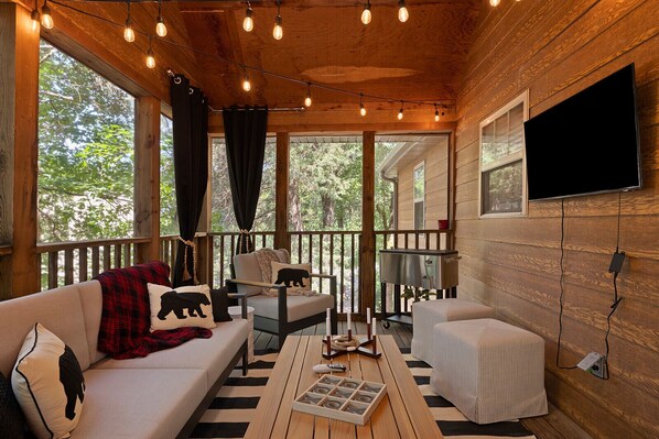 Smart TV, fireplace, books