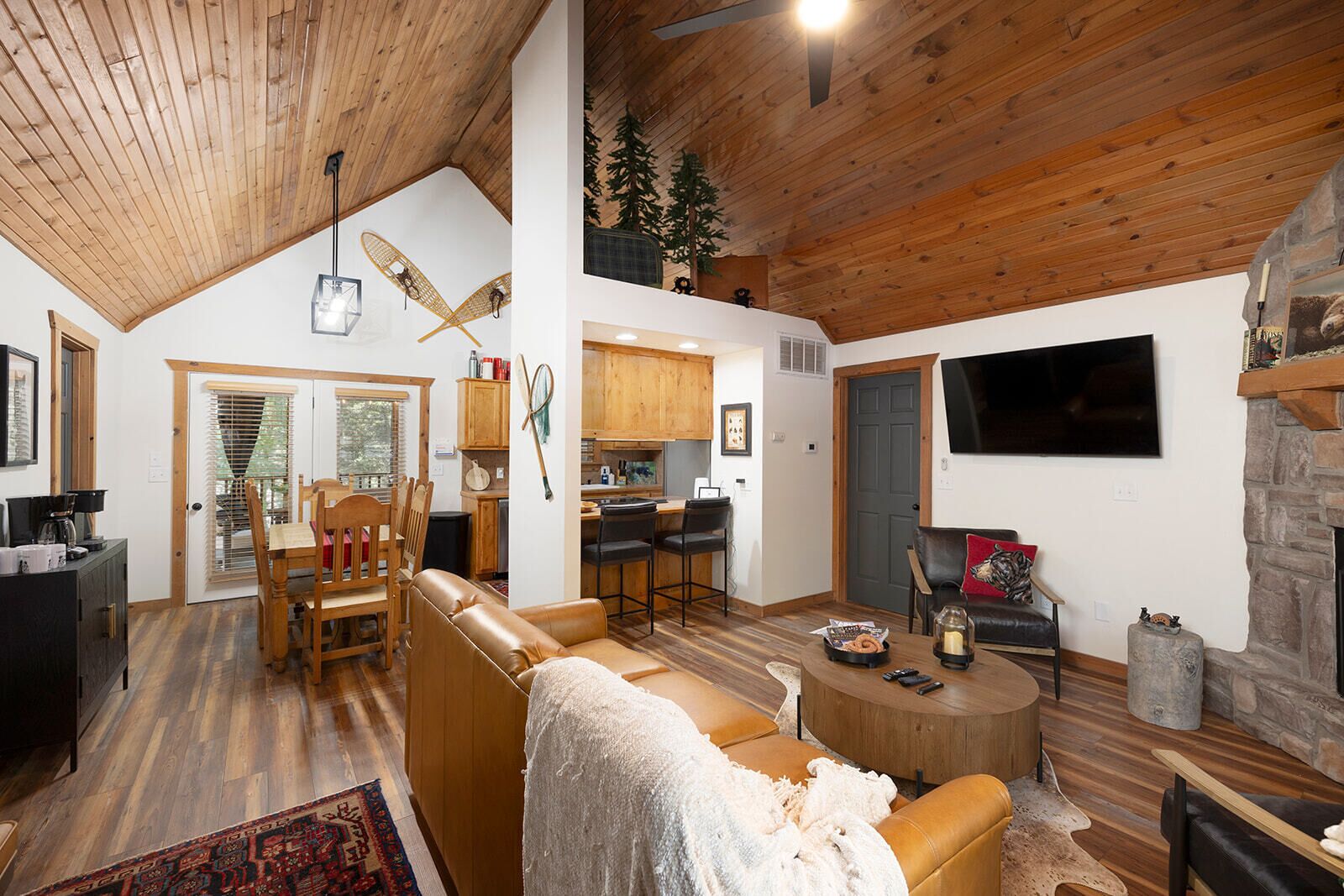 Smart TV, fireplace, books