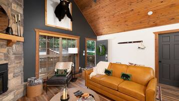 Smart TV, chimenea, libros
