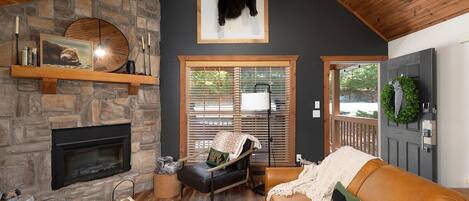 Smart TV, fireplace, books