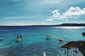 Unclassified image, 4 of 36, button - Jelly Sea Resort (Siquijor Island)